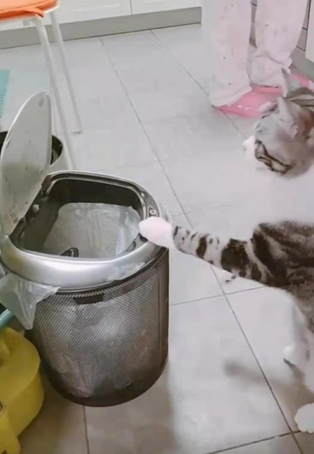 圖片6